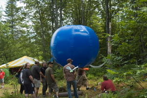firefly134