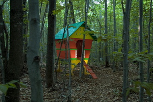 firefly155