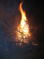 26