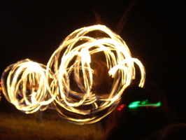 P1010048