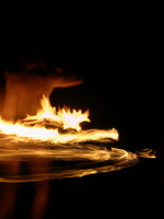 P1010058