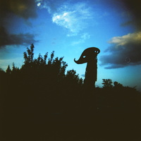 firefly-mask copy