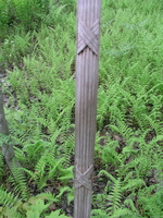 P1010014