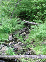 P1010024