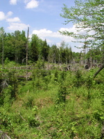 P1010034