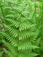 P1010035