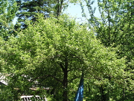 P1010013