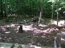 P1010019
