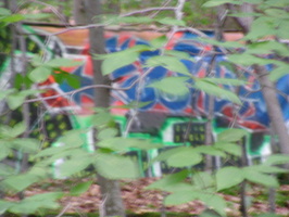 SANY0009