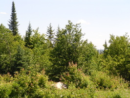 SANY0148