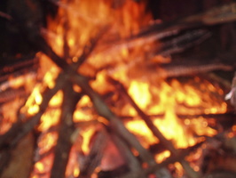 burning bug
