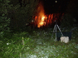 fire in distance