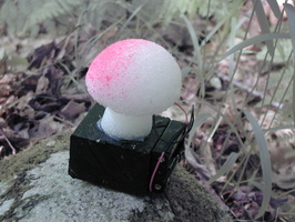 66 G