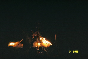 firefly 032
