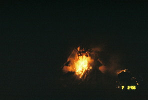 firefly 034