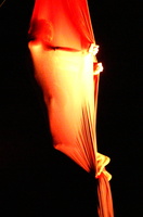 pict0759 crop