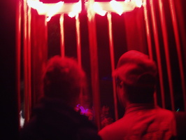 fancy stripper cage