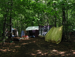 IMG 2073