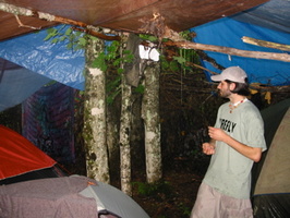 IMG 2086