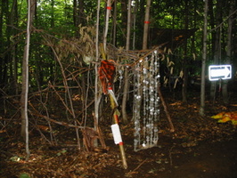 IMG 2250