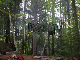 IMG 0454