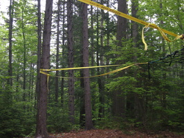 IMG 0456
