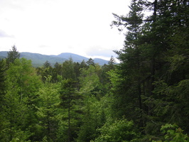 IMG 0469