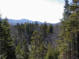 Wagner's Photos
