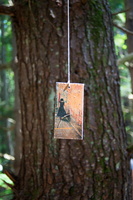 7609 firefly2013-32 400x600