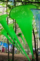 7632 firefly2013-44 400x600