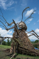 7724 firefly2013 400x600