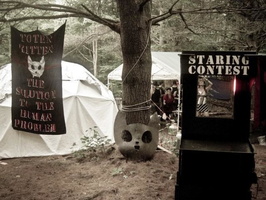 7537 IMG 0234 640x480