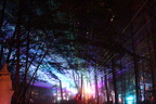240-IMG 0898