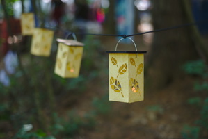 DSC 9954 3200
