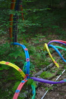 DSC 0089 3200
