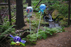 DSC 0030 3200