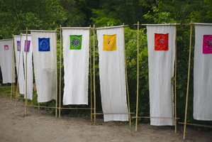 DSC 0041 3200