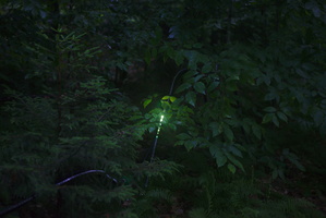 DSC 0152 3200