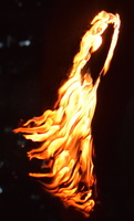 DSC 0659