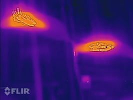 Fire Ceiling Garden
