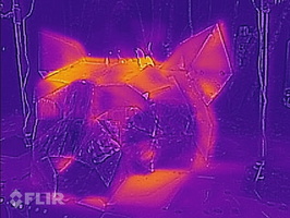 Cat God! (part of the altar)