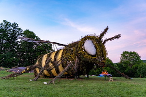 Pretzel's People, Art, and Nature pics