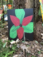 Camp Art