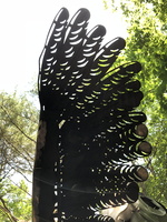 IMG 0079