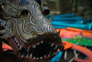 DSC09936e