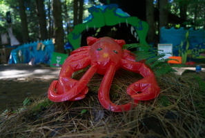 DSC00524e