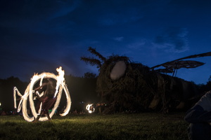 Firefly2019-0004