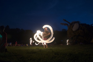 Firefly2019-0007