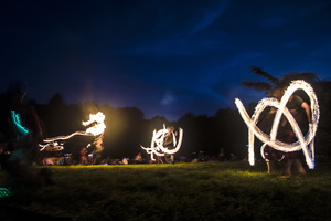 Firefly2019-0009