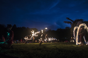 Firefly2019-0011